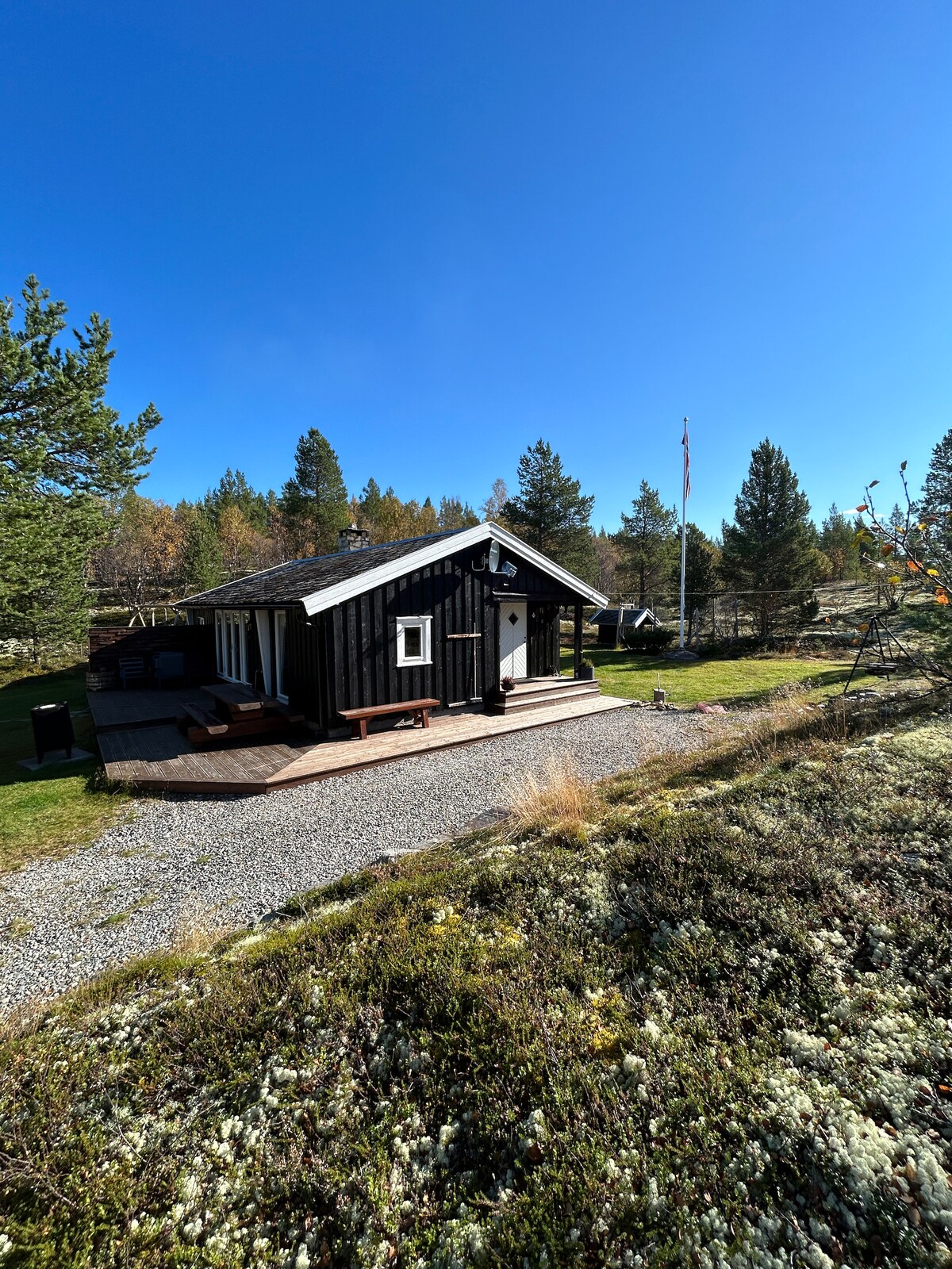 A traditional black cabin with white accents is set against a clear blue sky. Surrounded by trees, a gravel pathway leads to the entrance, and a flag is seen prominently displayed. The well-maintained grassy area provides a welcoming outdoor space.