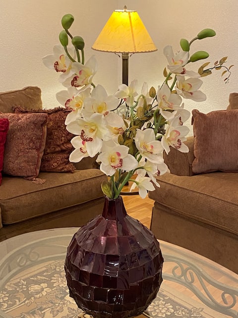 Popular Airbnb listing: Casa Alaia in Chihuahua