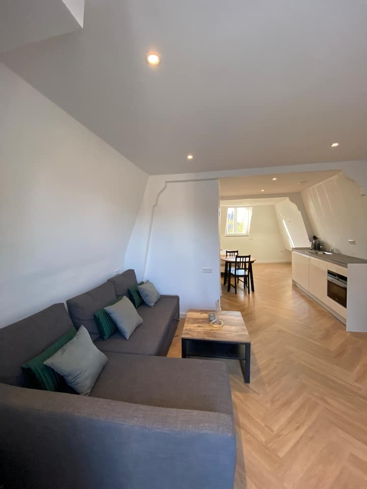 Apartment City Center: Terrace With Iconic View - Gouda