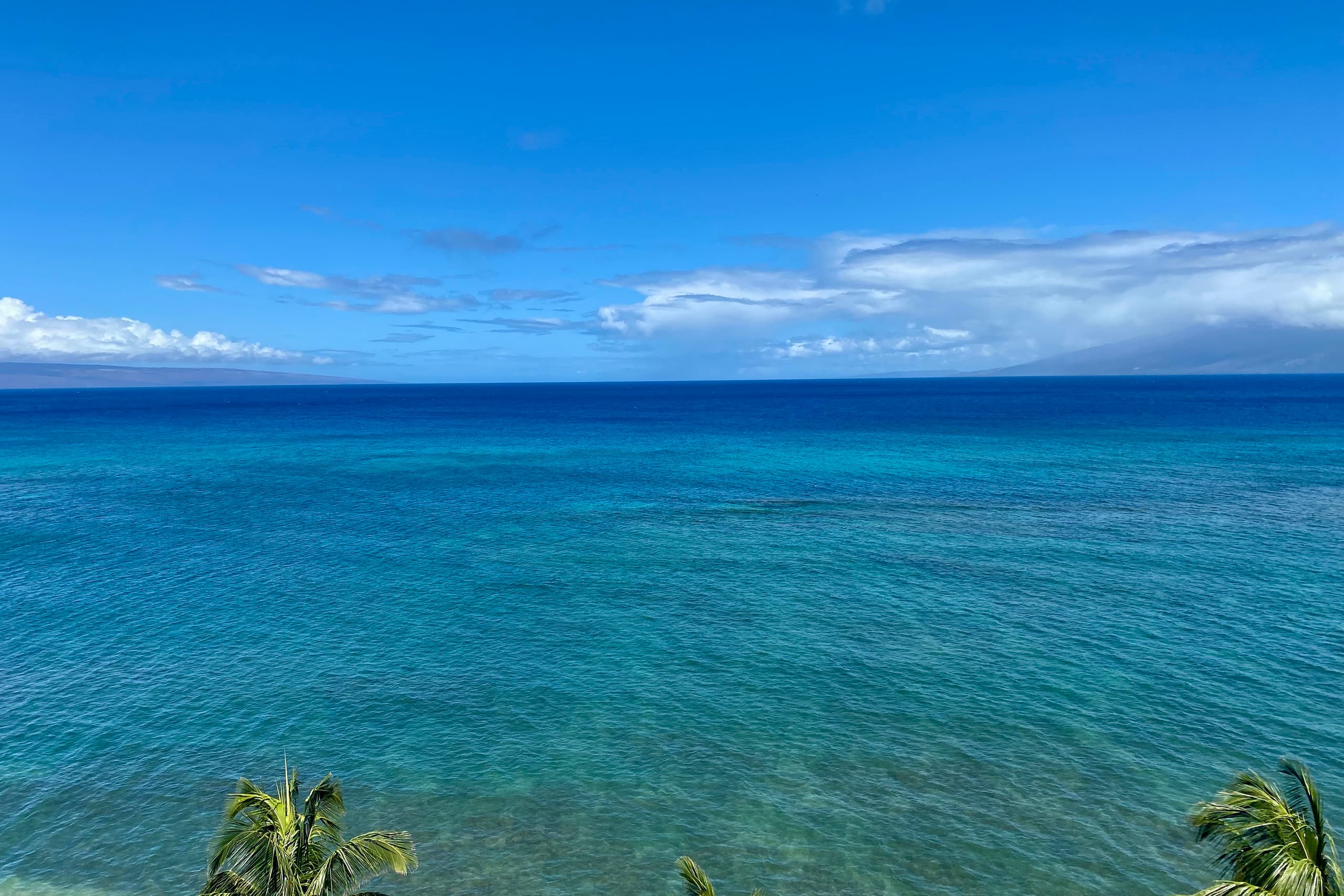 Condo in Lahaina · ★4.94 · Studio · 1 bath - Image 12
