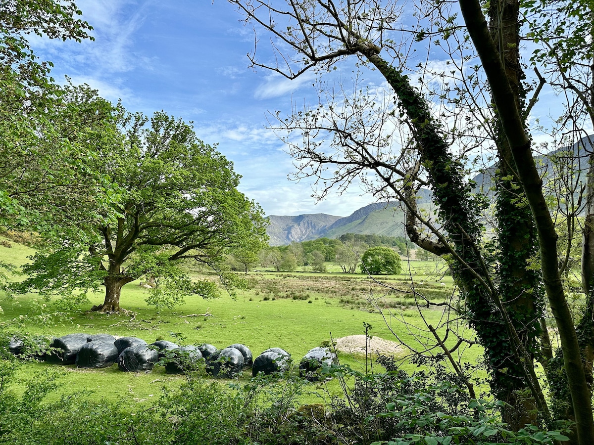 A serene landscape features a sprawling green meadow bordered by trees. In the foreground, black bales are neatly arranged, while distant mountains create a picturesque backdrop under a clear blue sky.
