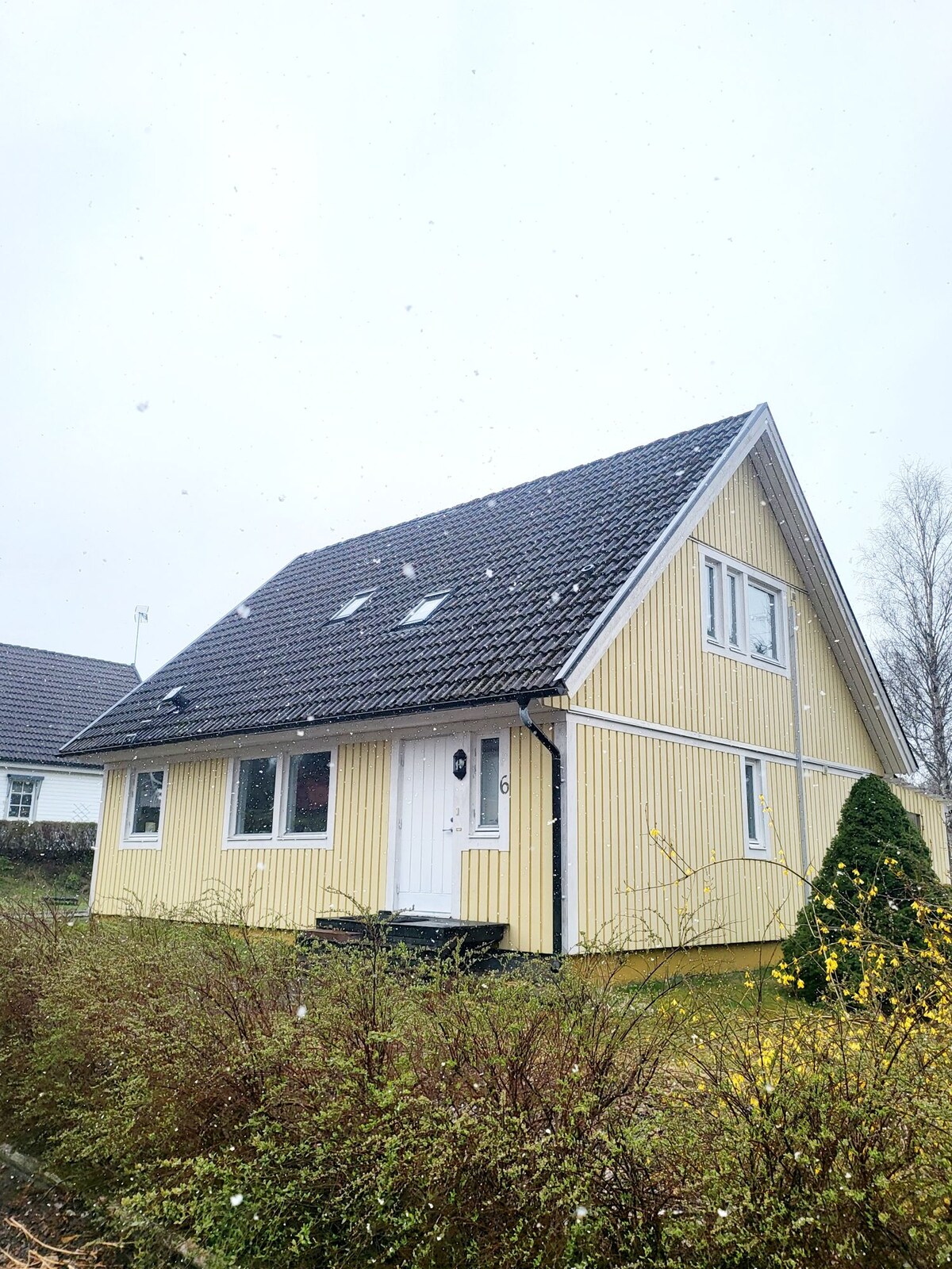 A two-story yellow house is positioned on a softly sloped lawn. Several windows are visible, with one above the entrance. A decorative shrub is placed nearby. Soft snowflakes are falling, suggesting a quiet, calm atmosphere. The exterior showcases a classic design with a gabled roof.