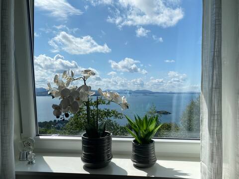 Top performing Airbnb: Apartment with lake view, and close to Preikestolen in Strand