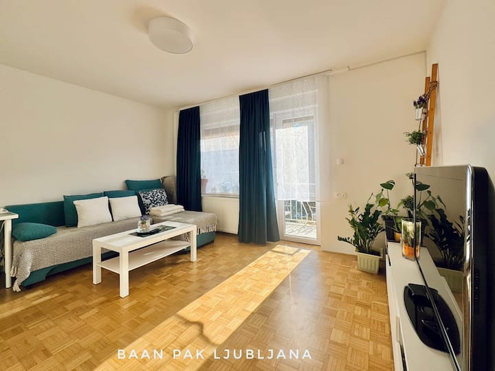 House With Free Parking At Frontdoor-near Highway - Ljubljana