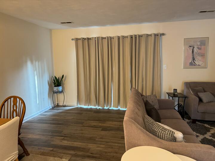 Comfy Condo - Lynchburg, VA