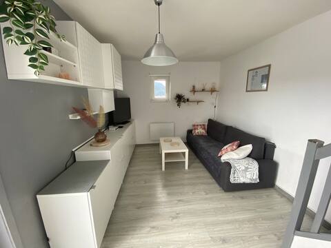 Annonce Airbnb populaire: Apartment in the mountains à Gresse En Vercors