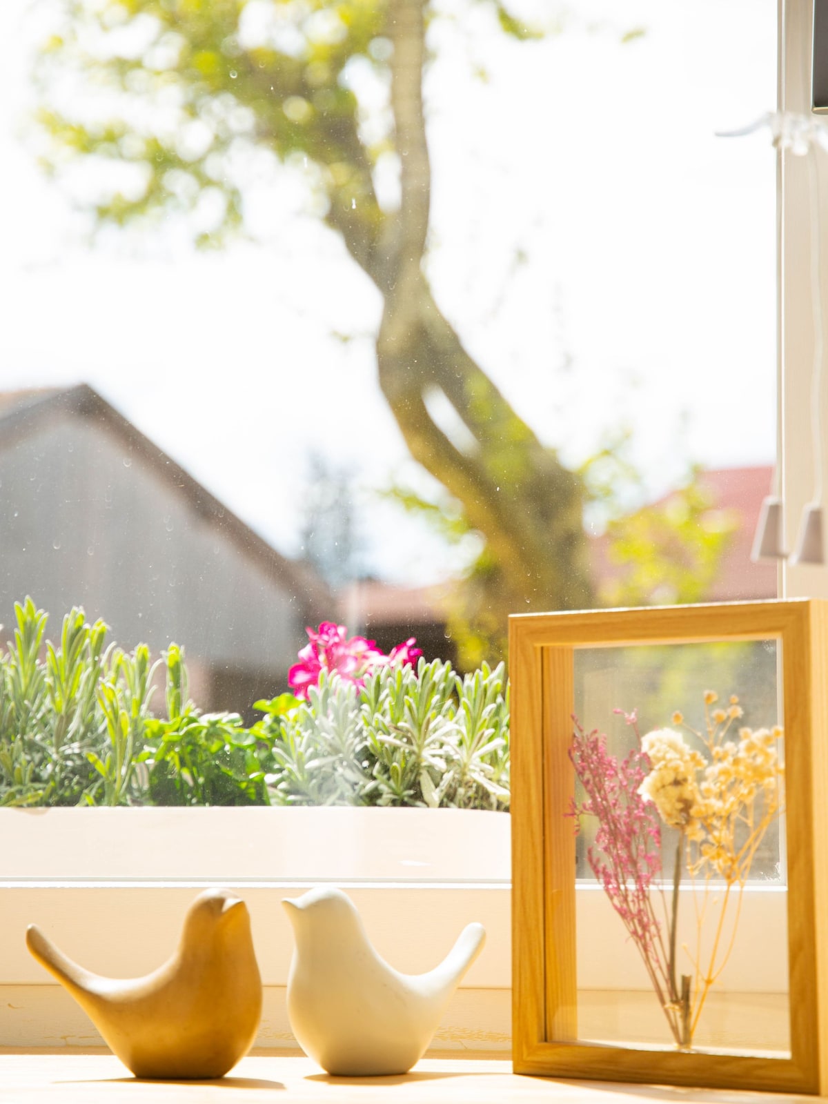 A window view showcases greenery and blooming flowers outside. In the foreground, two small bird figurines in neutral tones are placed alongside a wooden-framed display holding dried flowers. Natural light fills the space, enhancing the tranquil ambiance.
