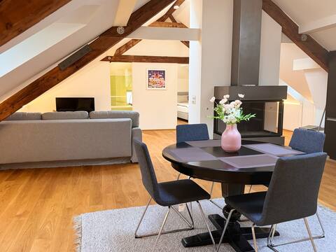 Fantastic apartment above the rooftops of Basel
