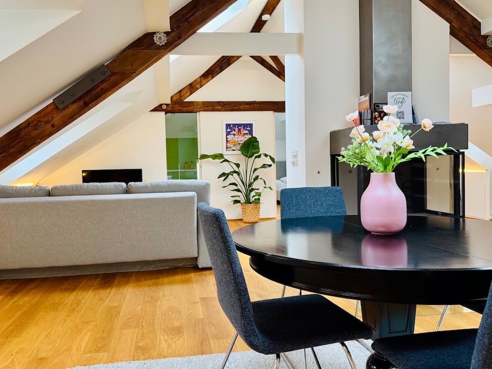Basel, Switzerland Vacation Rentals (5 out of 5) - Airbnb