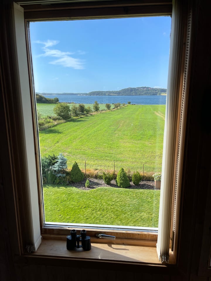 غرفة المعيشة