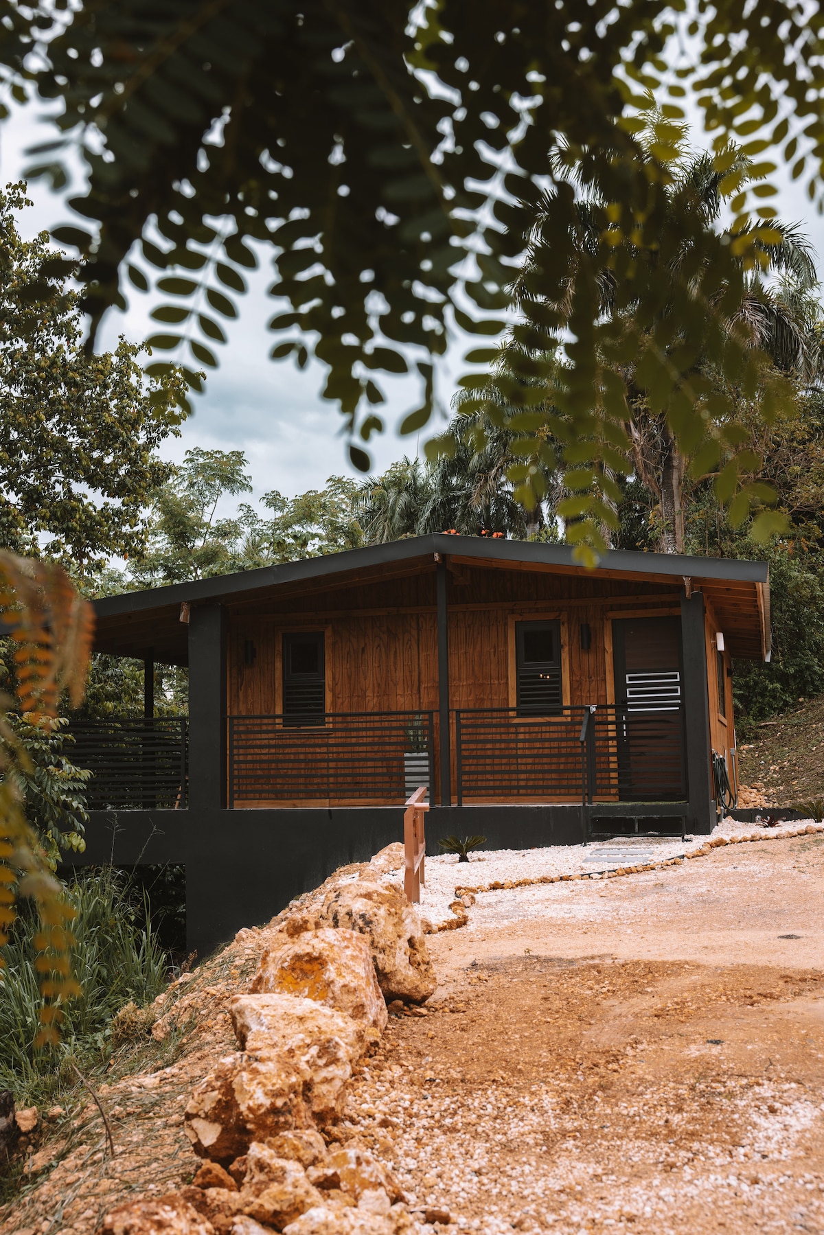 The modern cabin, constructed with natural wood, features a covered porch and large windows. The path to the entrance is lined with gravel and surrounded by lush greenery, creating a serene environment. The cabin is elevated slightly on a hillside, offering a natural view.