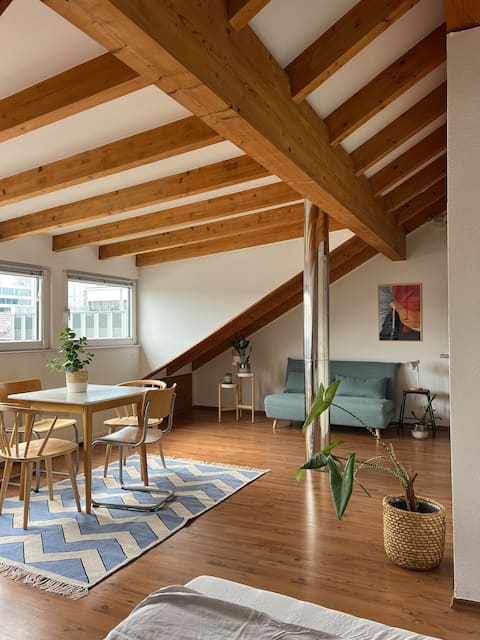Cozy loft with a view, central, close to tradefair