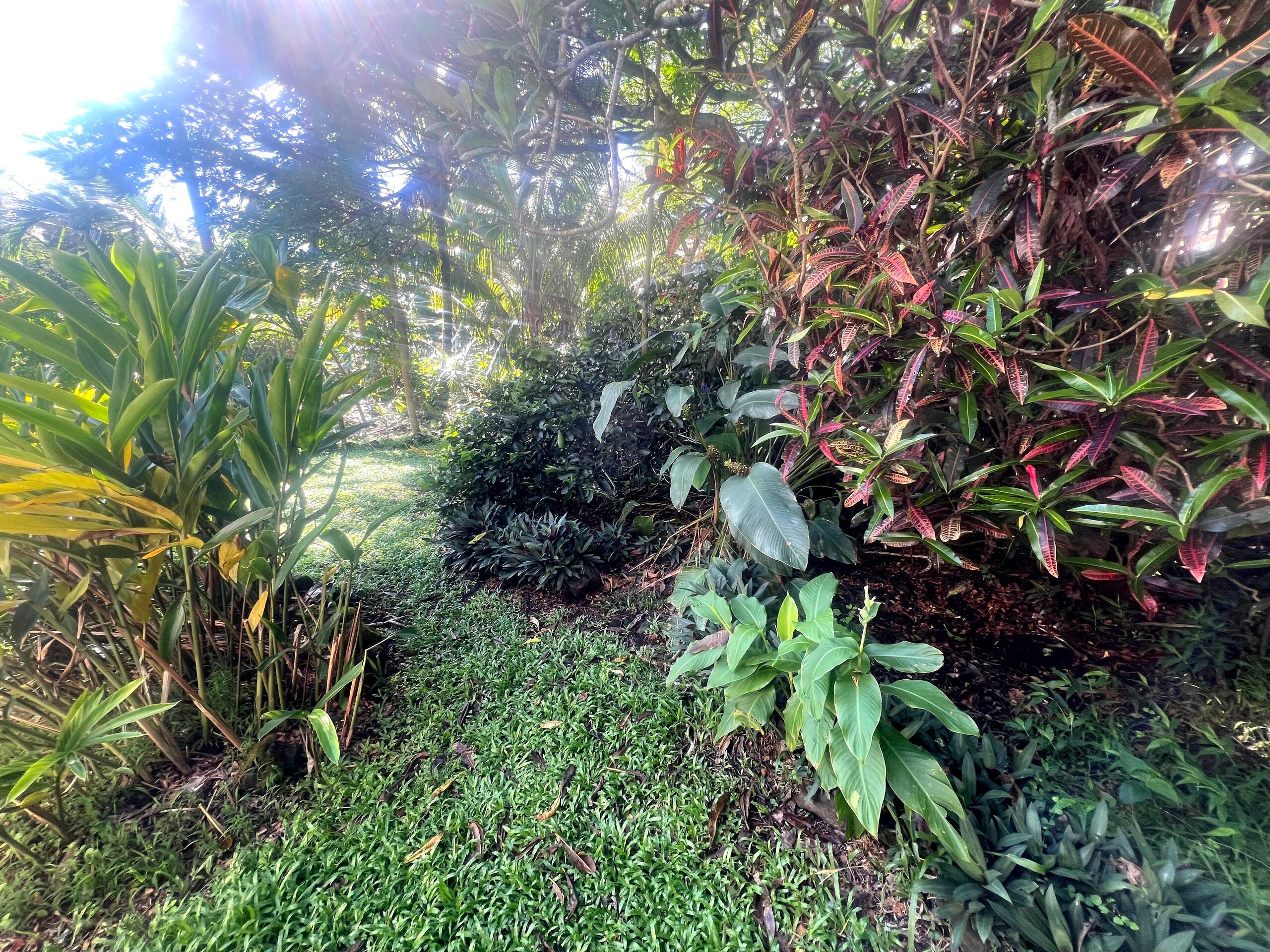 Home in Pahoa · ★4.86 · 4 bedrooms · 5 beds · 3 baths - Image 85