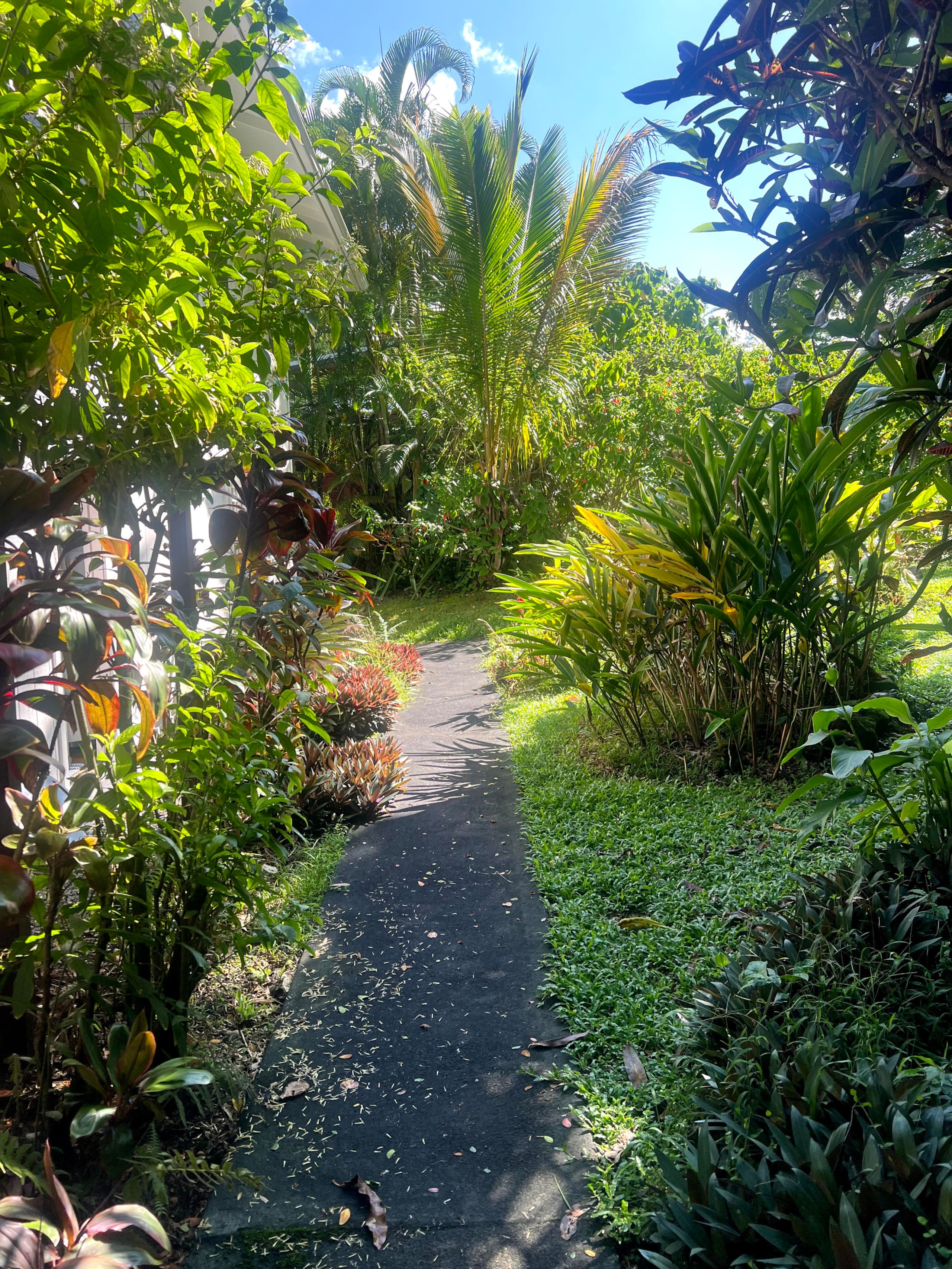 Home in Pahoa · ★4.86 · 4 bedrooms · 5 beds · 3 baths - Image 84