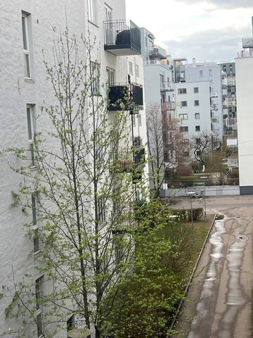 Central Station Homely Apt gallery image 5