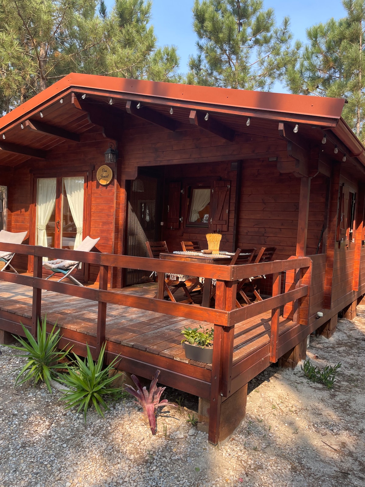 A wooden cabin is framed by tall pine trees, featuring a welcoming porch lined with a wooden railing. An outdoor dining set is positioned on the porch, complemented by potted plants. Natural light filters through the large windows, which are adorned with light curtains.