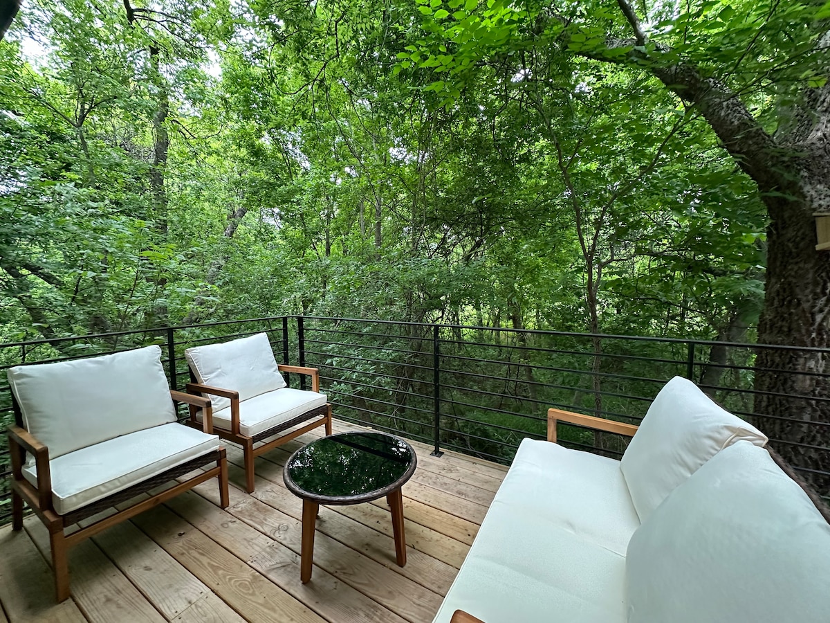 Wellness home, Sauna, Cold Plunge, 5 mins to DT