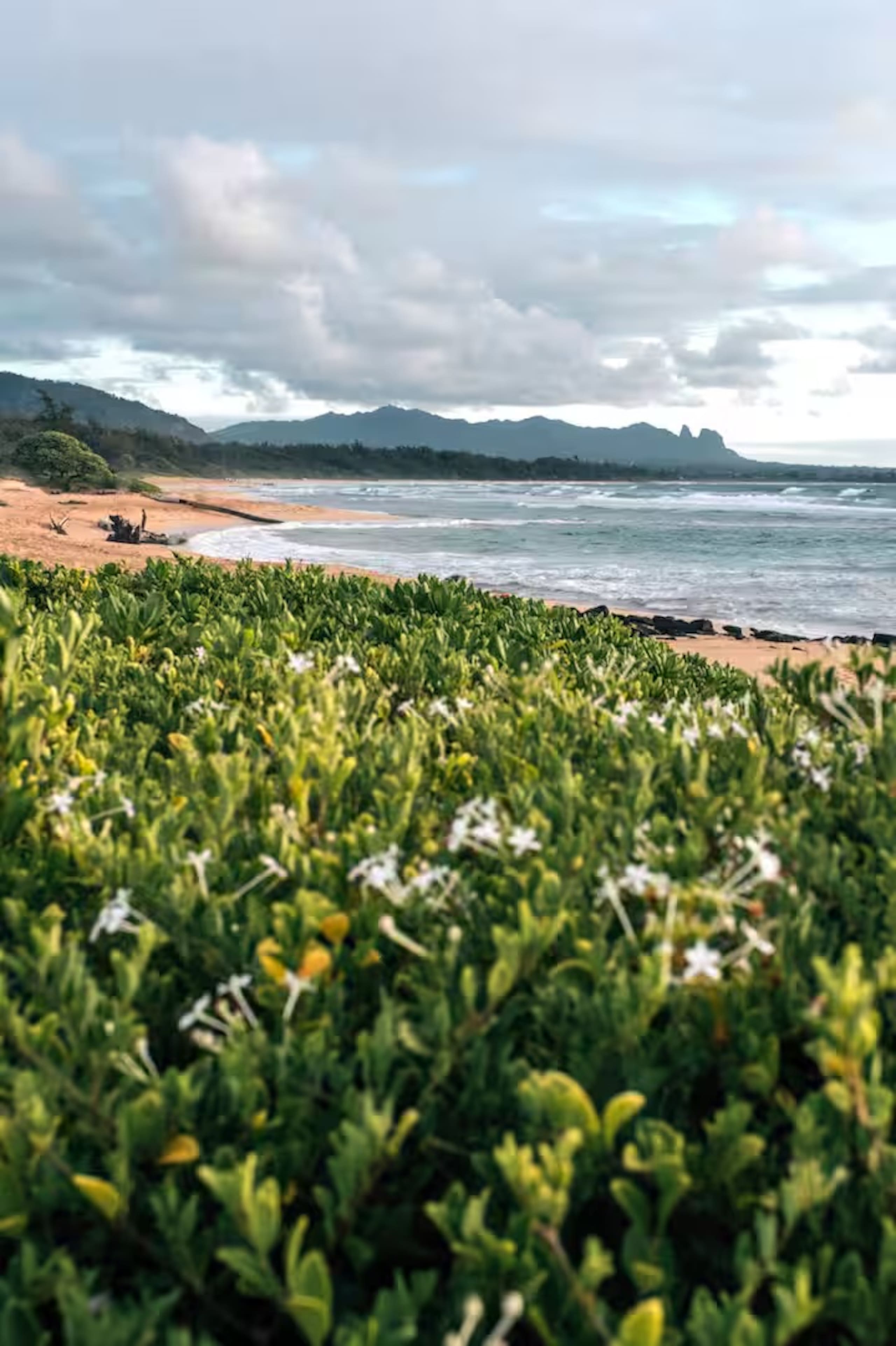 Resort in Lihue · ★4.89 · 1 bedroom · 1 bed · 1 private bath - Image 36