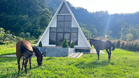 Ilusion Cabins La Florida Pereira