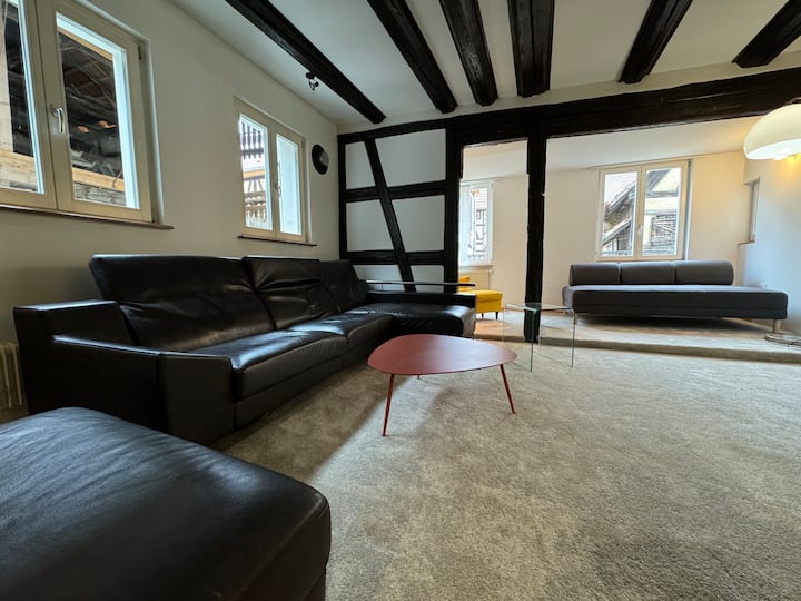La Maison De L'ours - Avec Patio & Garage - Sélestat