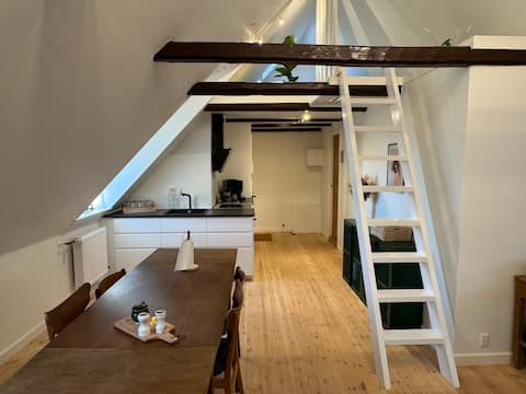 Penthouse lejlighed i centrum