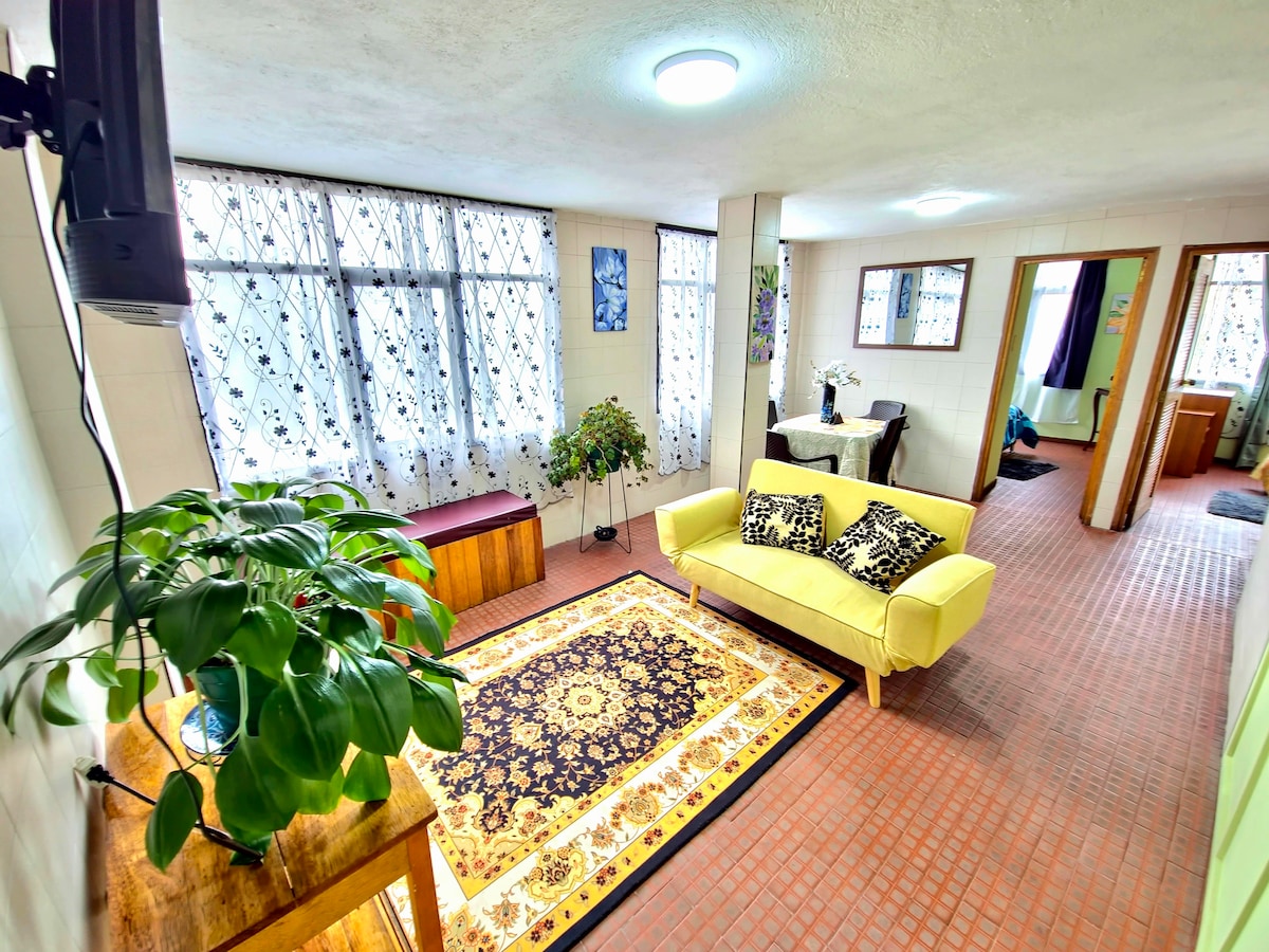 A bright living space features a yellow sofa positioned on a patterned area rug. Large windows covered with semi-transparent curtains allow natural light to fill the room. A potted plant is placed on a side table, and dining chairs are arranged near a small table in the background.