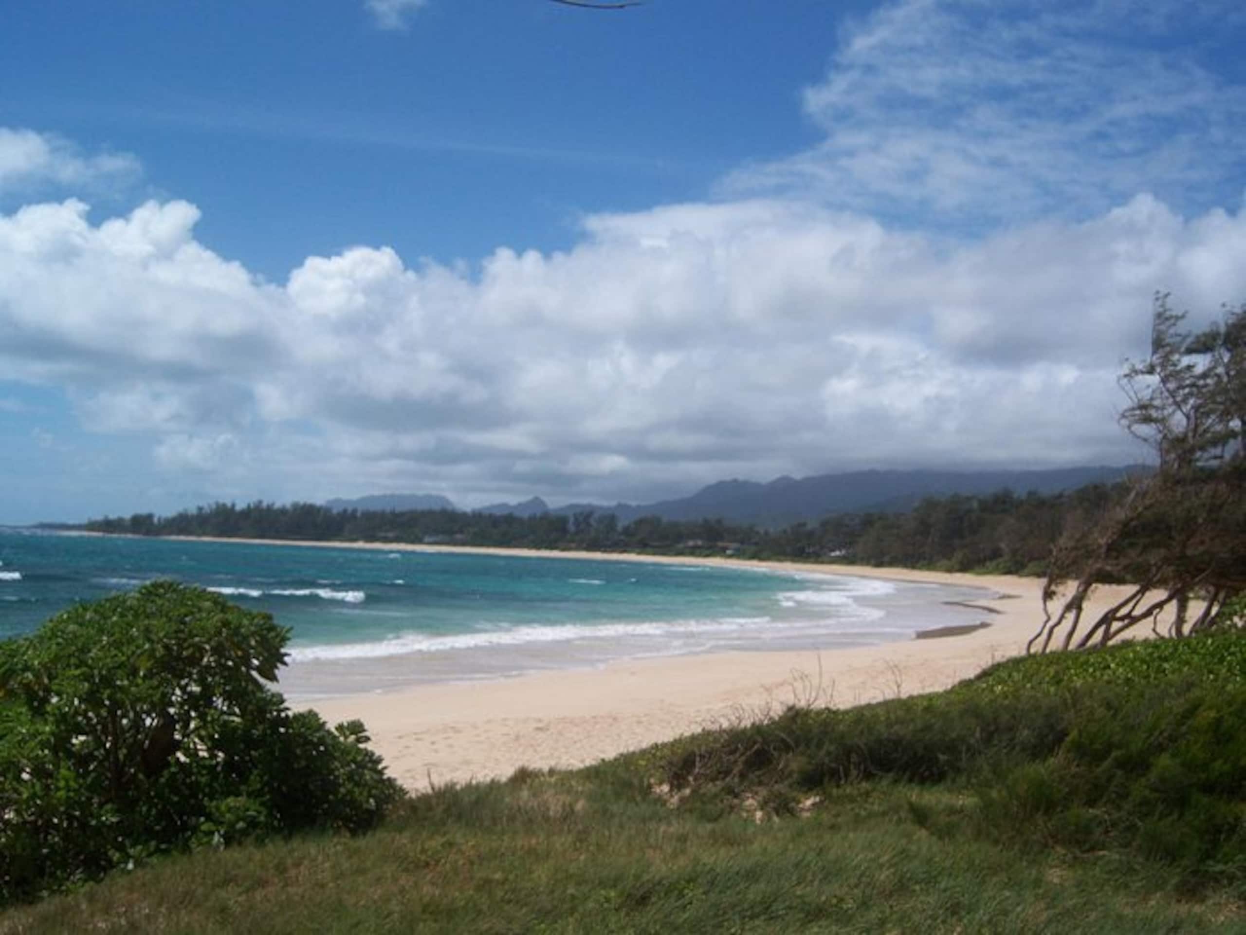 by the sea - Photo 4