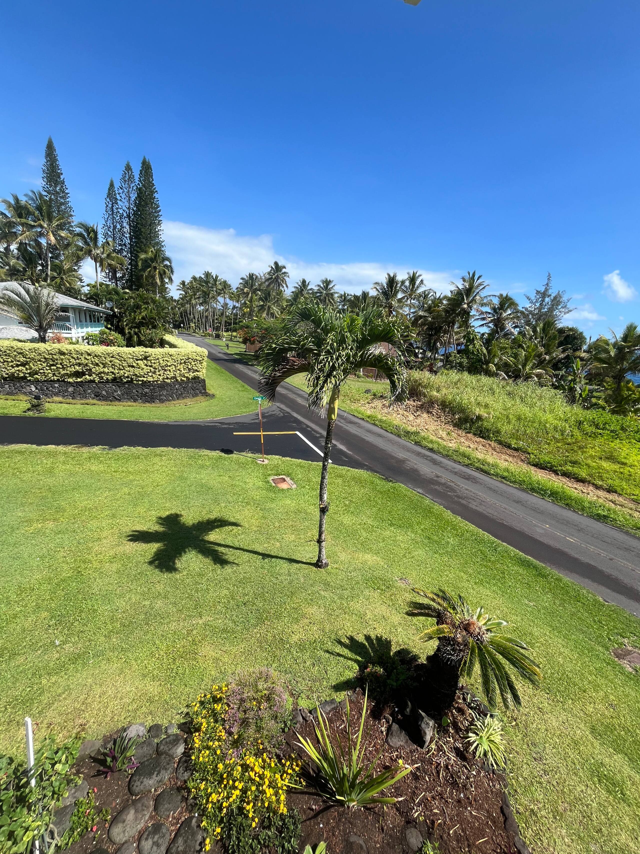 Home in Pahoa · ★4.86 · 2 bedrooms · 2 beds · 1 private bath - Photo 31