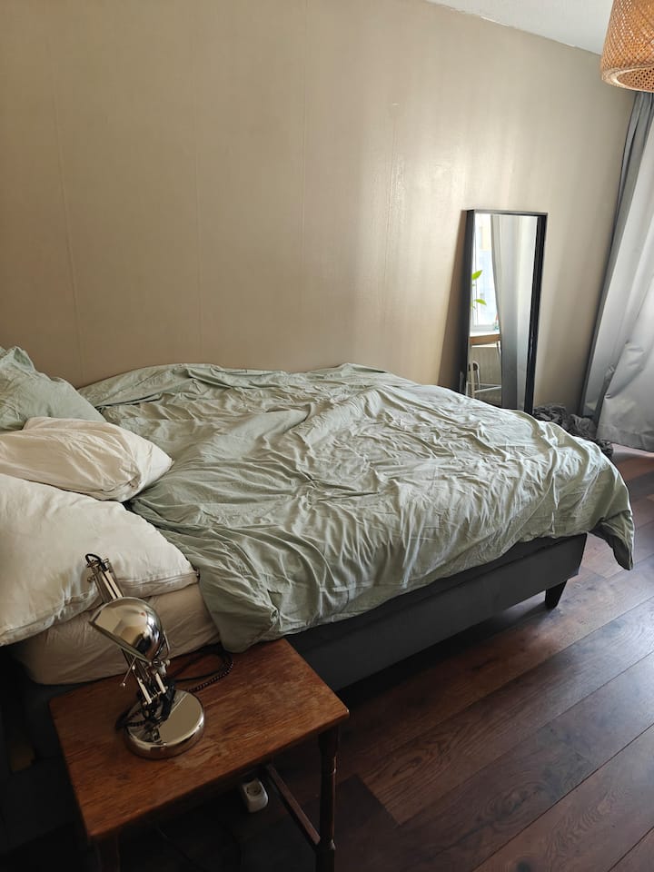 Doublebed In City Centre! - La Haye
