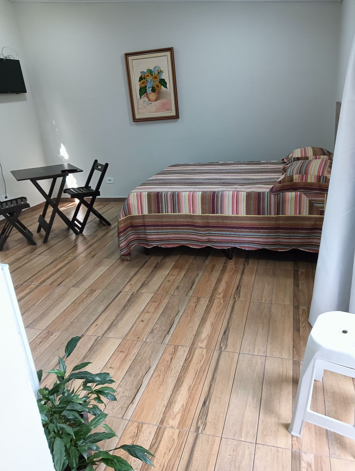 The room contains a spacious bed with a colorful striped bedspread, paired with two decorative pillows. A small table with two folding chairs is positioned nearby. A television is mounted on the wall, and a small plant adds a touch of greenery to the space.