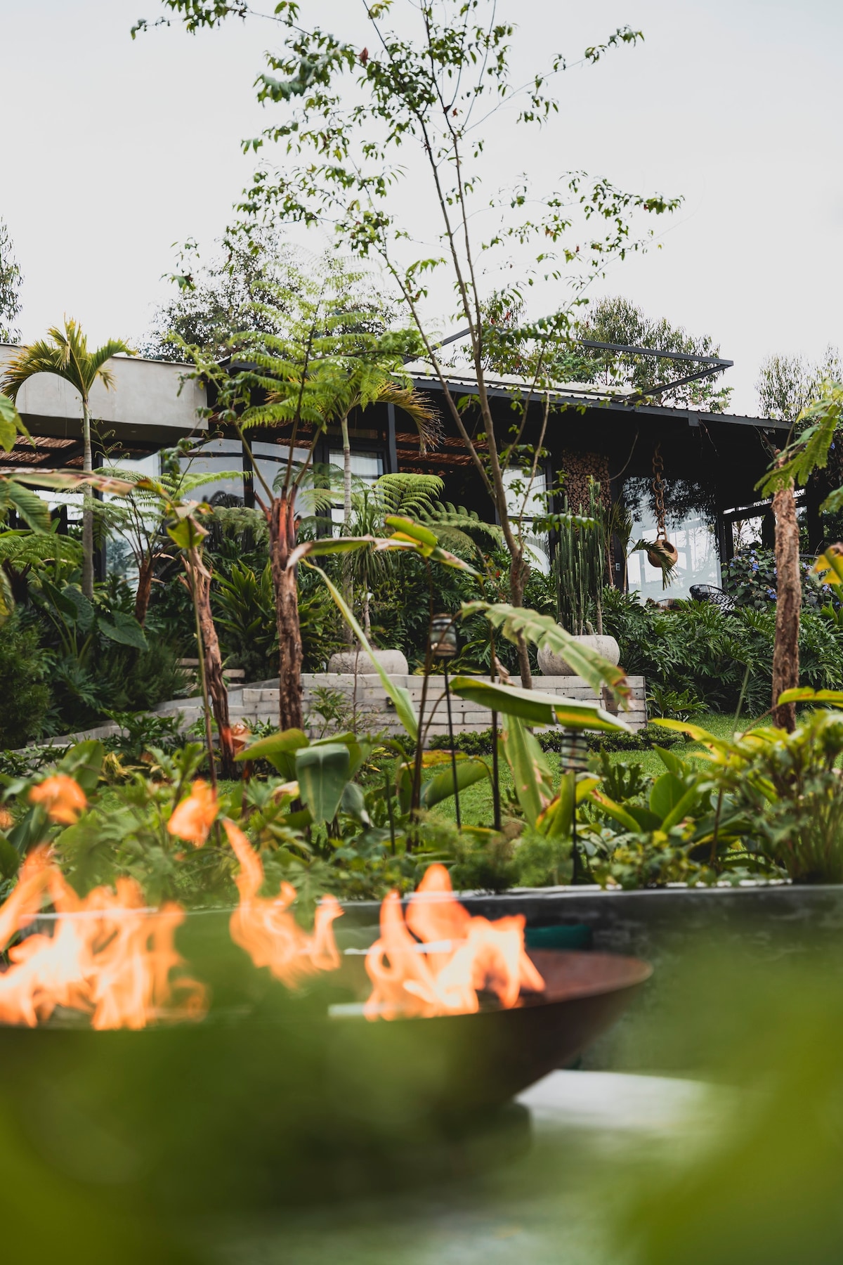 A fire pit with dancing flames is featured in the foreground, surrounded by lush greenery. In the background, a modern structure is partially visible, blending harmoniously with the natural landscape, complemented by tall ferns and various plants.