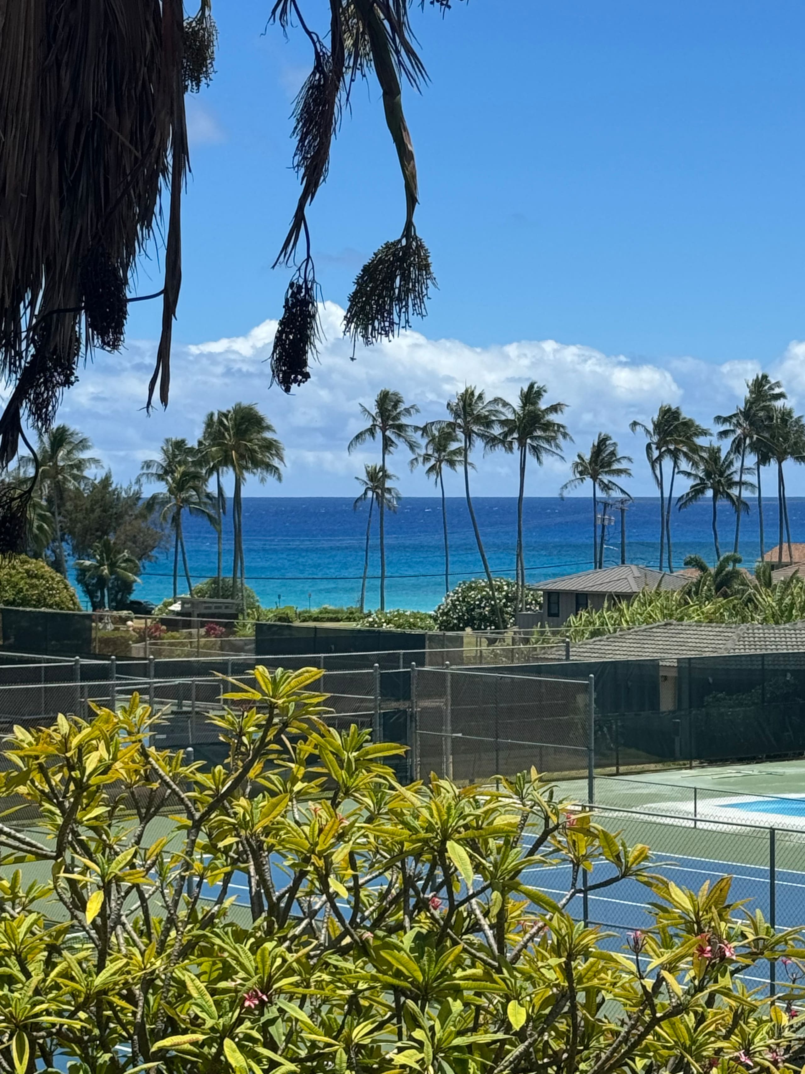 Condo in Koloa · ★4.99 · 1 bedroom · 2 beds · 1 bath - Photo 41