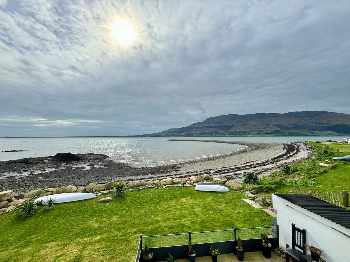A panoramic view of Carlingford Lough showcases the shoreline curving into the distance. The scene features lush green grass in the foreground, rocky outcrops along the water's edge, and gentle waves reflecting the overcast sky. The distant mountains provide a serene backdrop.