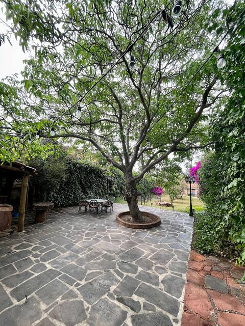 Spacious house with garden and fire pit in Zona Centro