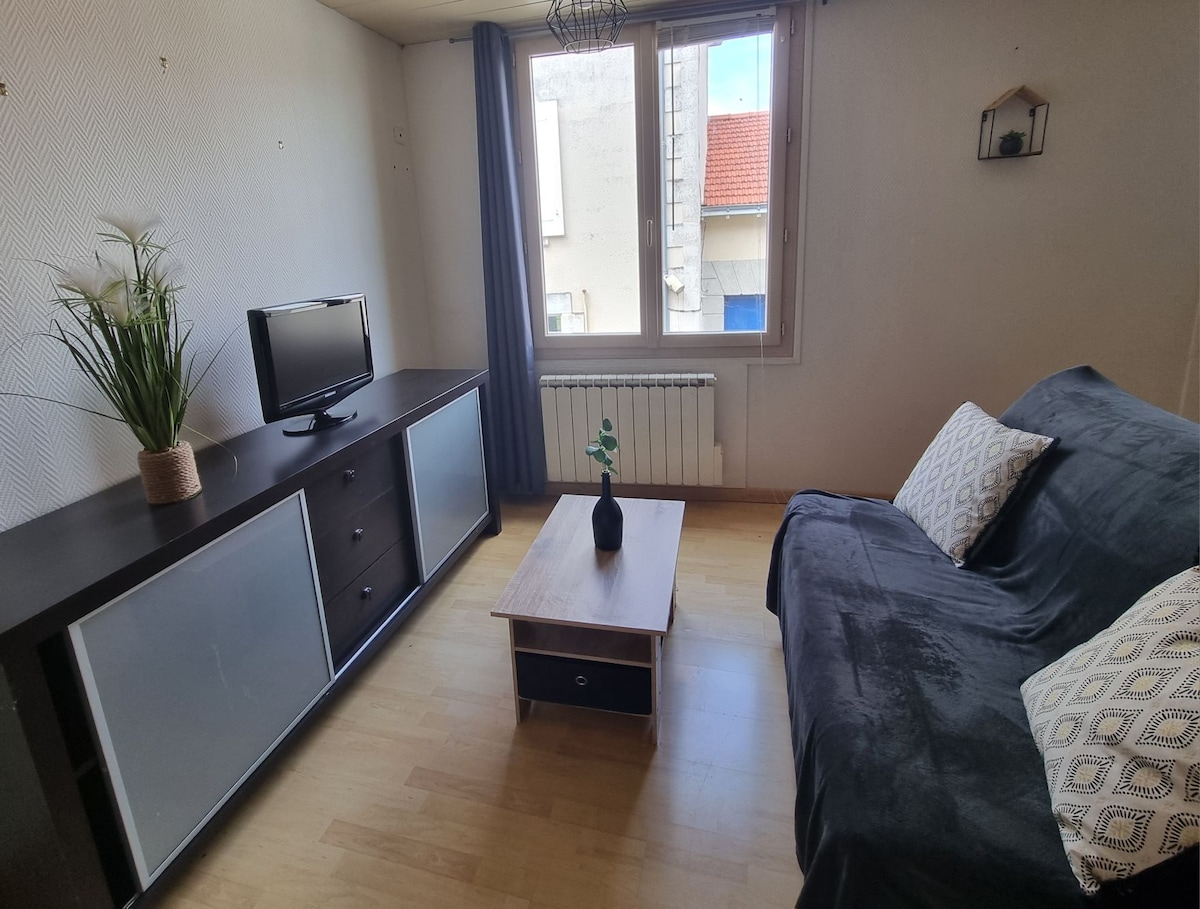 The living area features a dark sofa bed and a wooden coffee table at its center. A television is placed on a cabinet with doors, while a window allows natural light to illuminate the space. Decorative items, including a plant, add a touch of character.