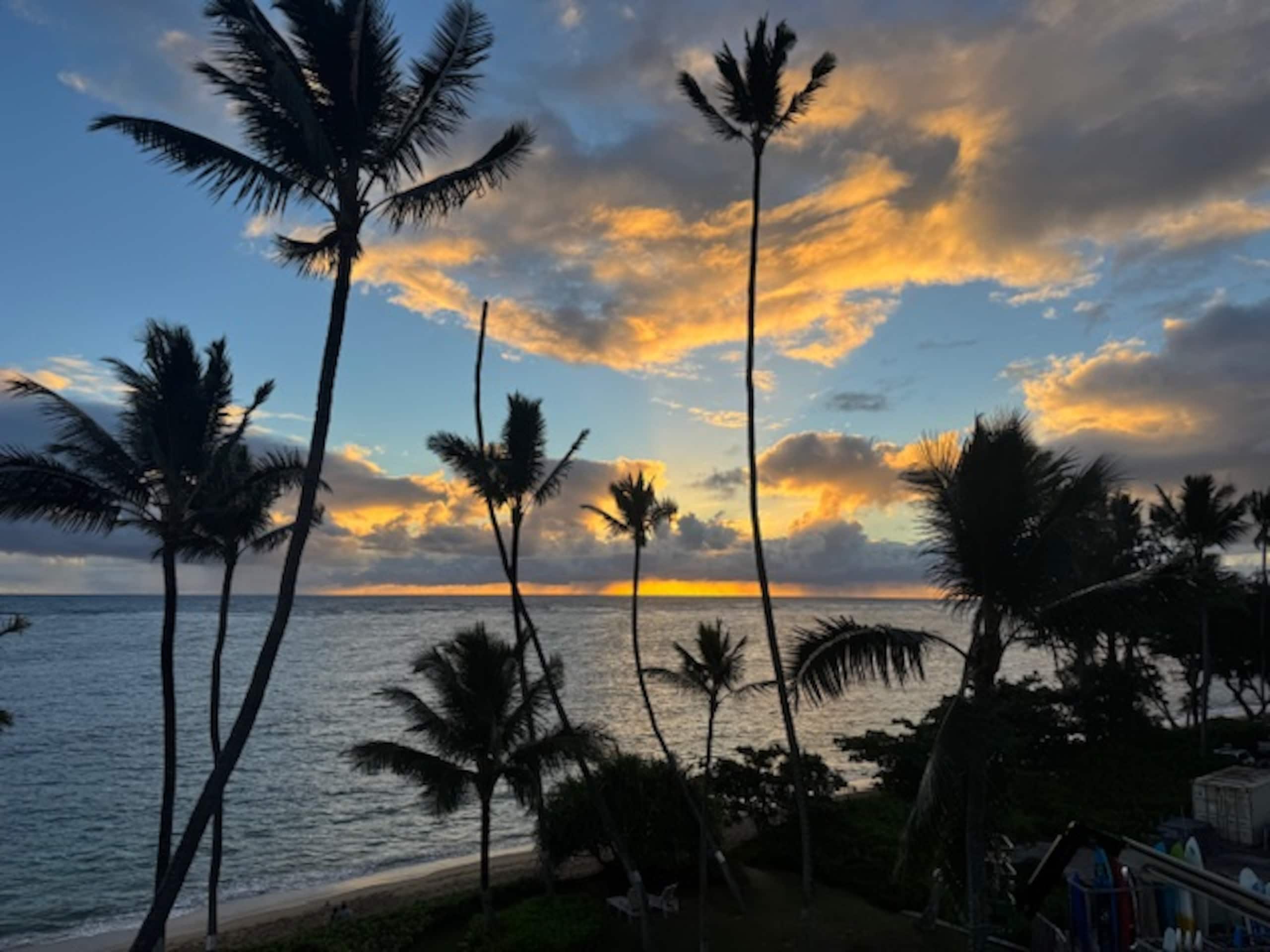 Condo in Hauula · ★4.82 · 1 bedroom · 4 beds · 1 private bath - Image 14