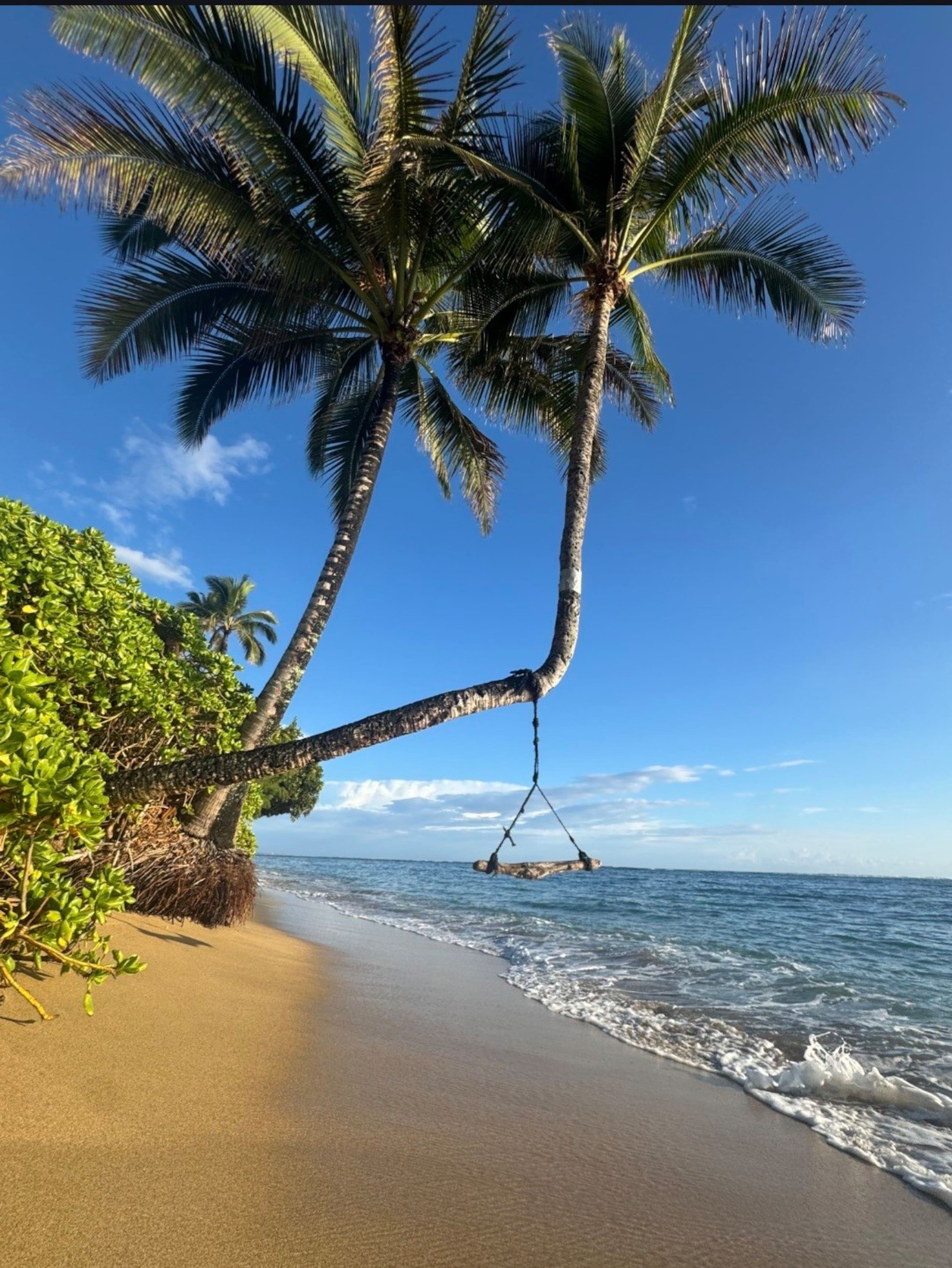 Condo in Hauula · ★4.82 · 1 bedroom · 4 beds · 1 private bath - Image 11