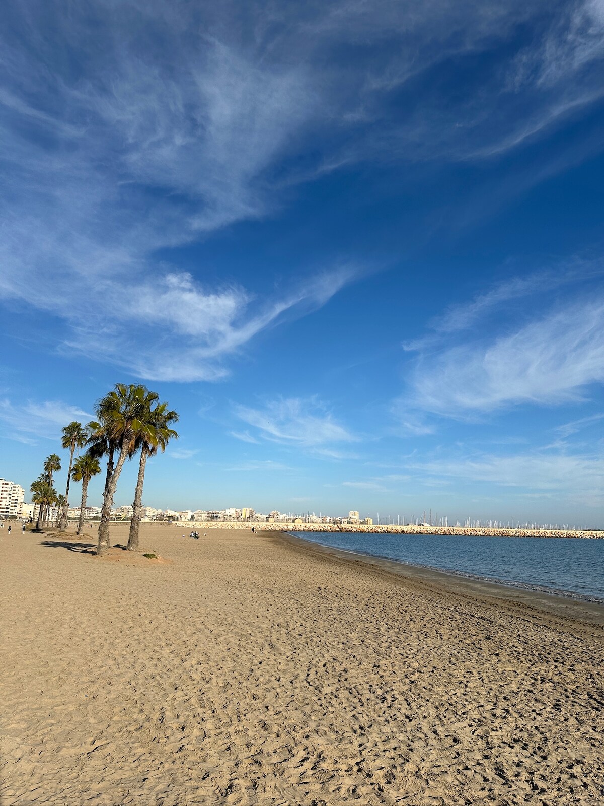 A serene beach scene features smooth sand extending along the shore, dotted with gently swaying palm trees. The calm water reflects the clear blue sky, while a distant cityscape and marina outline the horizon, inviting relaxation and exploration.