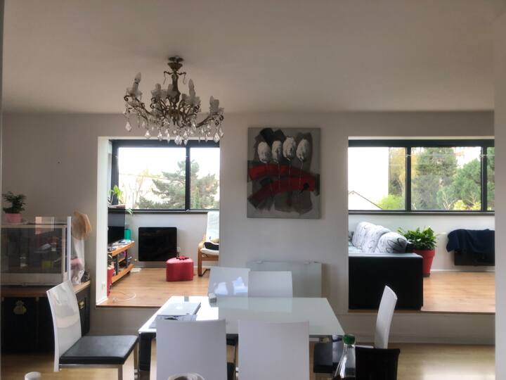 Duplex Et Terrasse Panoramique - Palaiseau