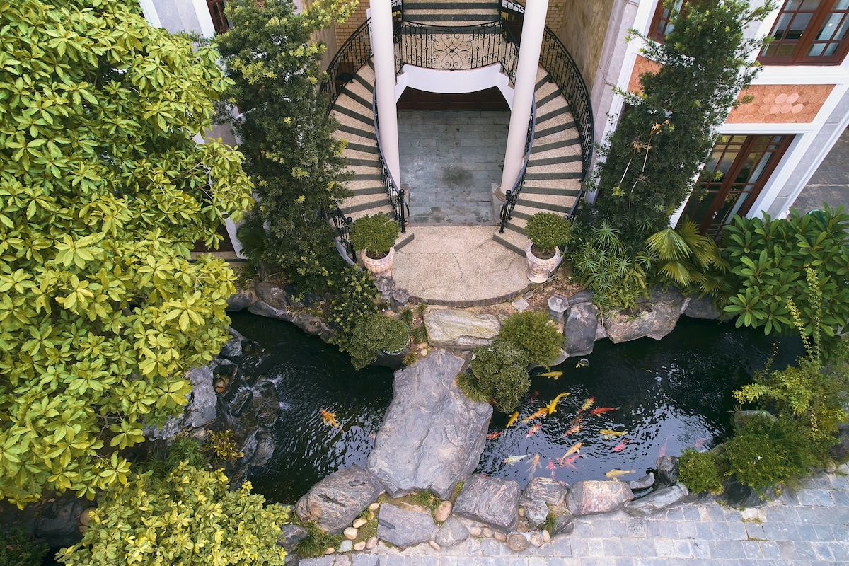 An aerial view captures a gracefully designed staircase leading to indoor areas. A serene koi pond with colorful fish fills the foreground, surrounded by lush greenery and rocks, enhancing the natural beauty of the space.