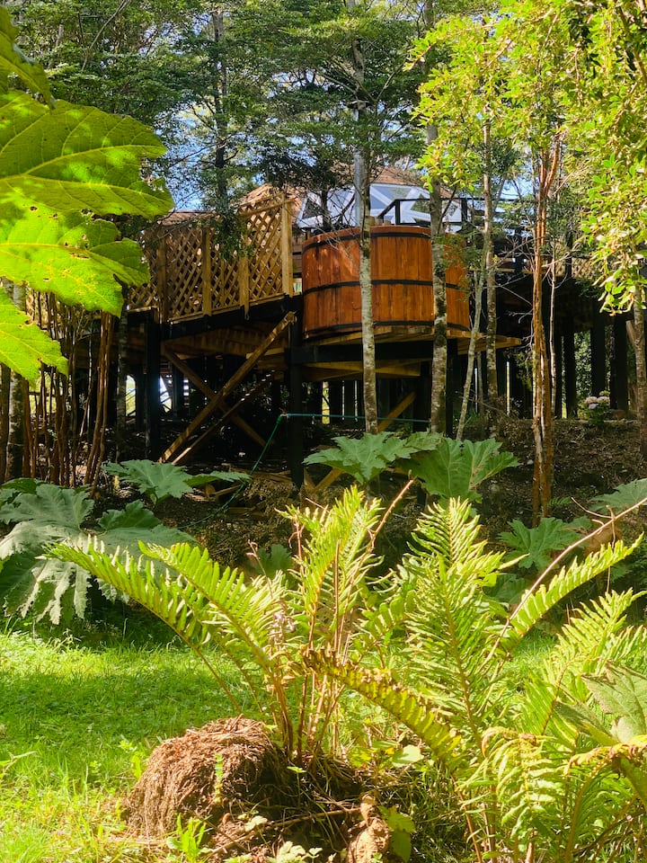 Dome in the woods