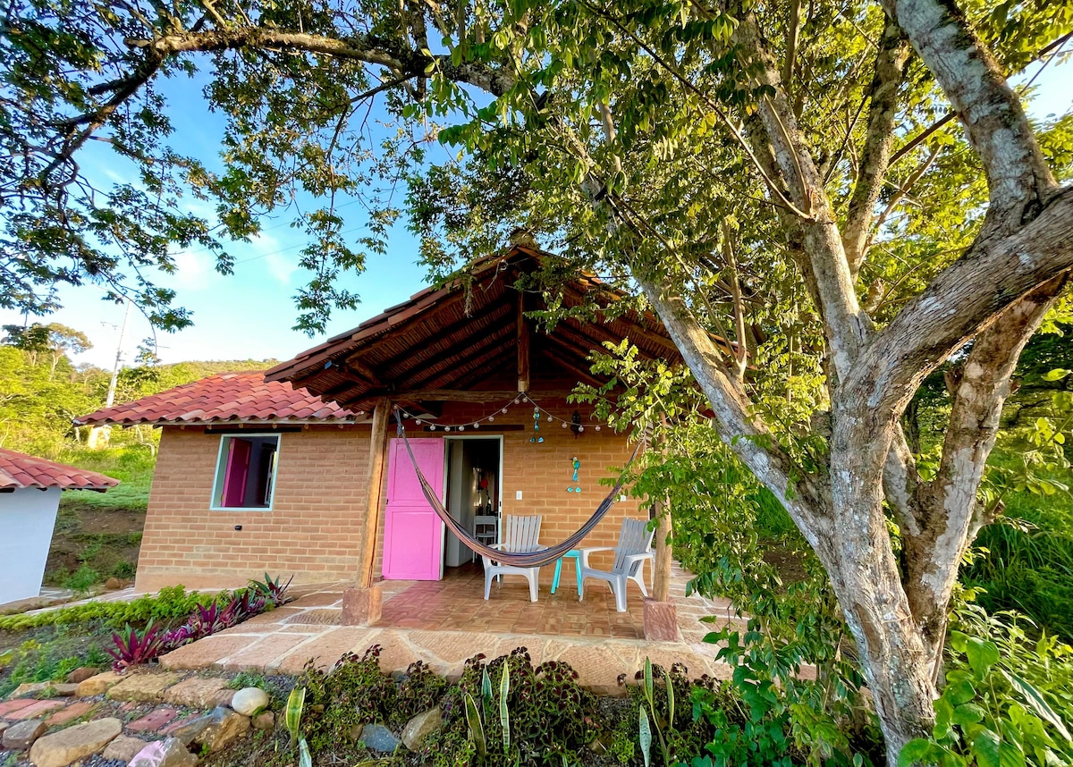 A charming cabin is set amidst lush greenery, featuring a spacious porch with a hammock and seating. A tree provides shade, while vibrant plants line the pathway. The rustic exterior reflects a harmonious blend with the natural surroundings, ideal for relaxation.
