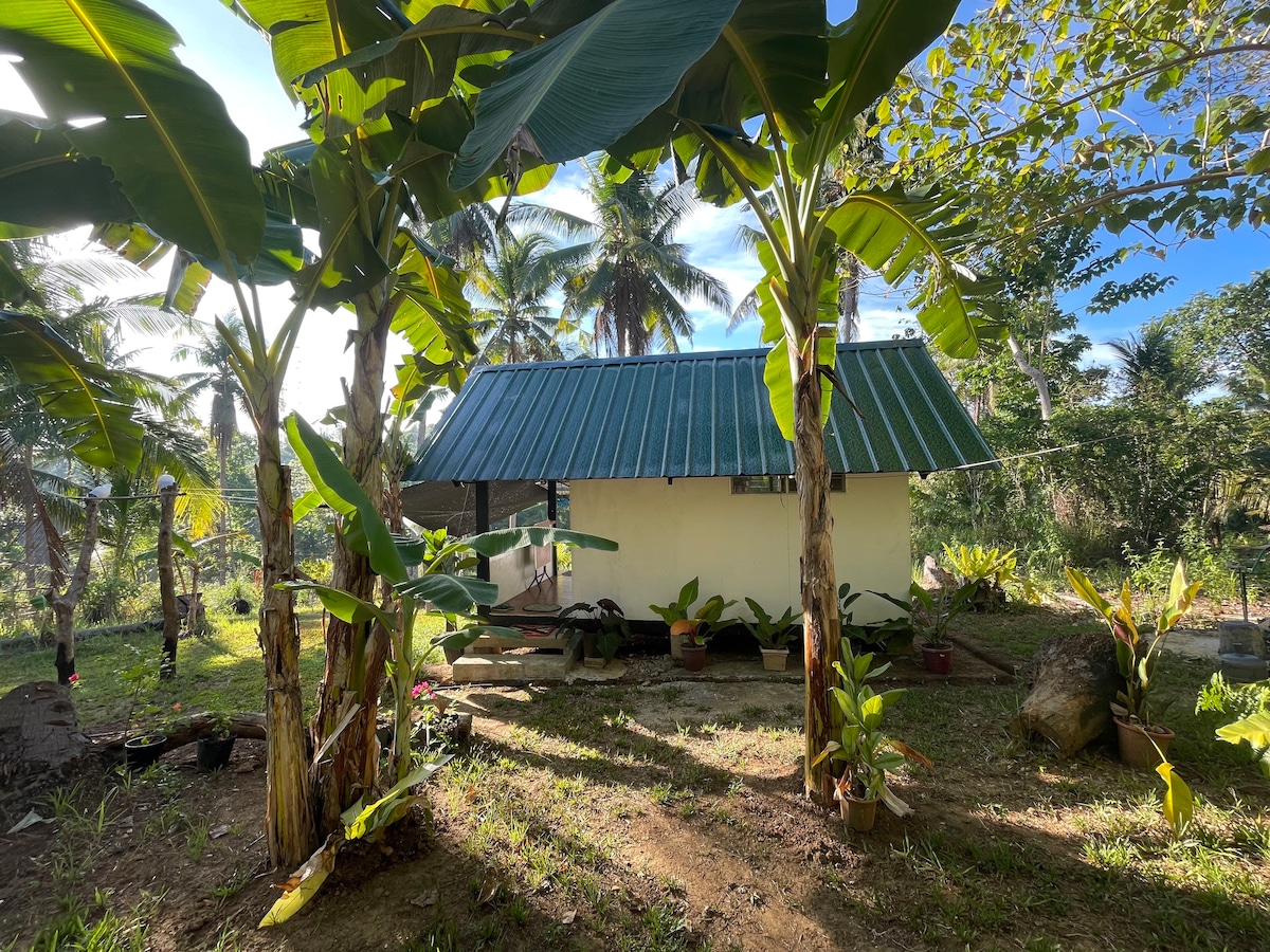 A tiny house is nestled among tropical greenery, showcasing tall banana trees and lush vegetation. The structure features a metal roof and a simple facade, with potted plants placed near the entrance. Sunlight filters through the leaves, creating a serene outdoor space.