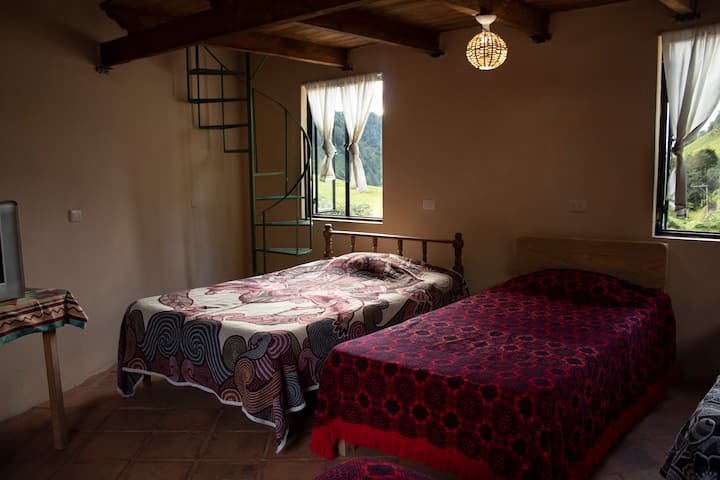 Habitación 1