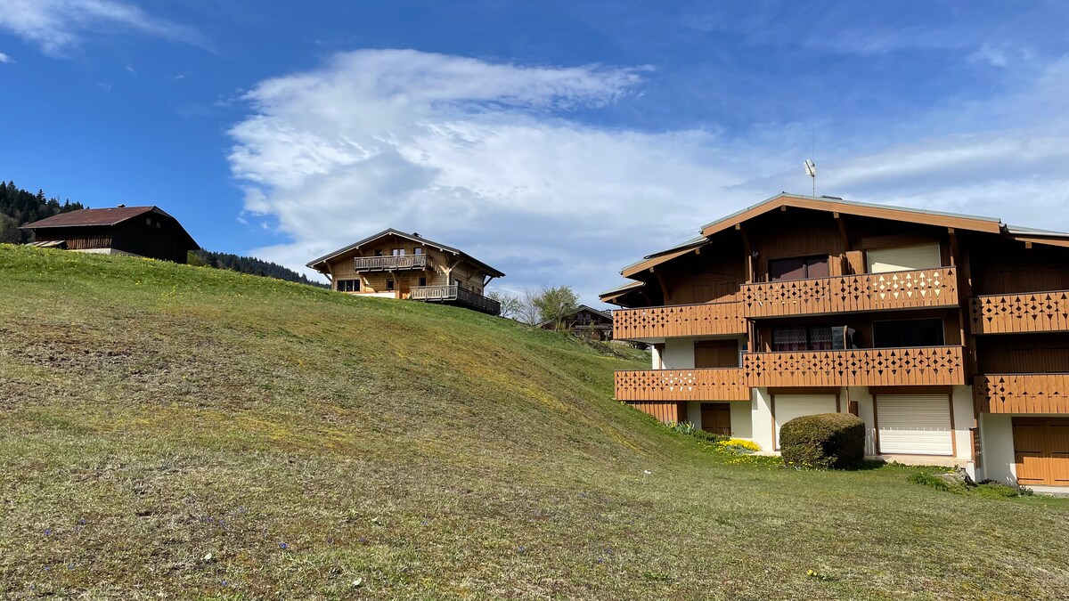 A serene mountain residence is positioned on a grassy hillside, outlined against a bright blue sky. The building features wooden balconies with decorative railings. Nearby, a second chalet-style structure sits above, surrounded by trees, creating a tranquil alpine setting.