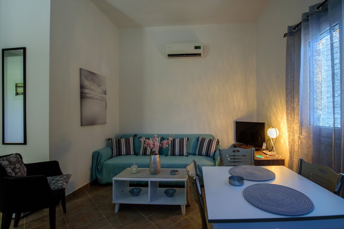 A living space features a light blue sofa adorned with striped pillows, placed nearby a flat-screen television. A small dining table is set with placemats, and a vase of flowers adds a touch of decor. Soft lighting is provided by a nearby lamp, with light curtains framing the window.