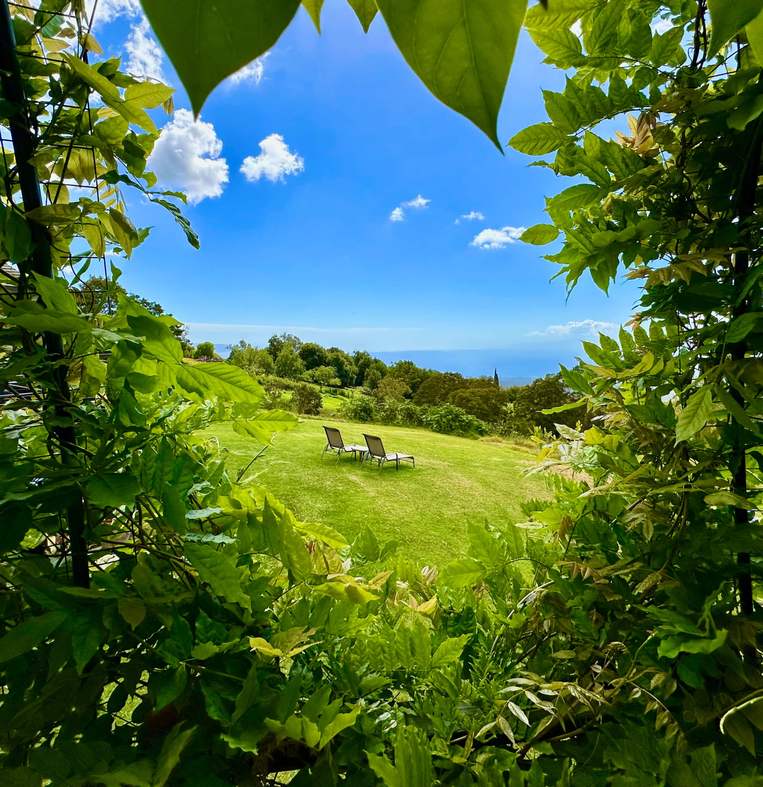 Charming Art Studio on a Scenic Mountain Slope - Photo 23