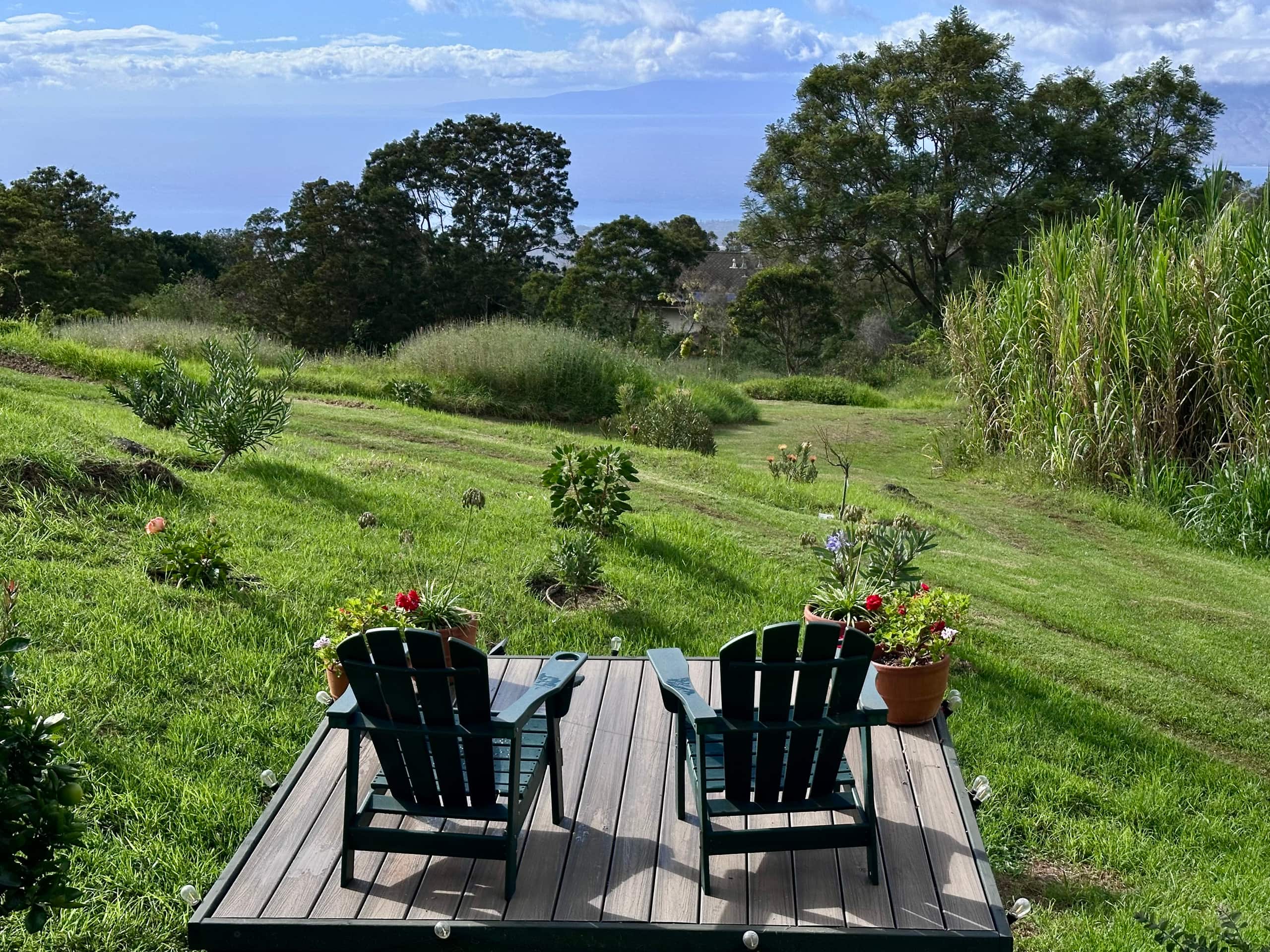 Charming Art Studio on a Scenic Mountain Slope - Photo 10