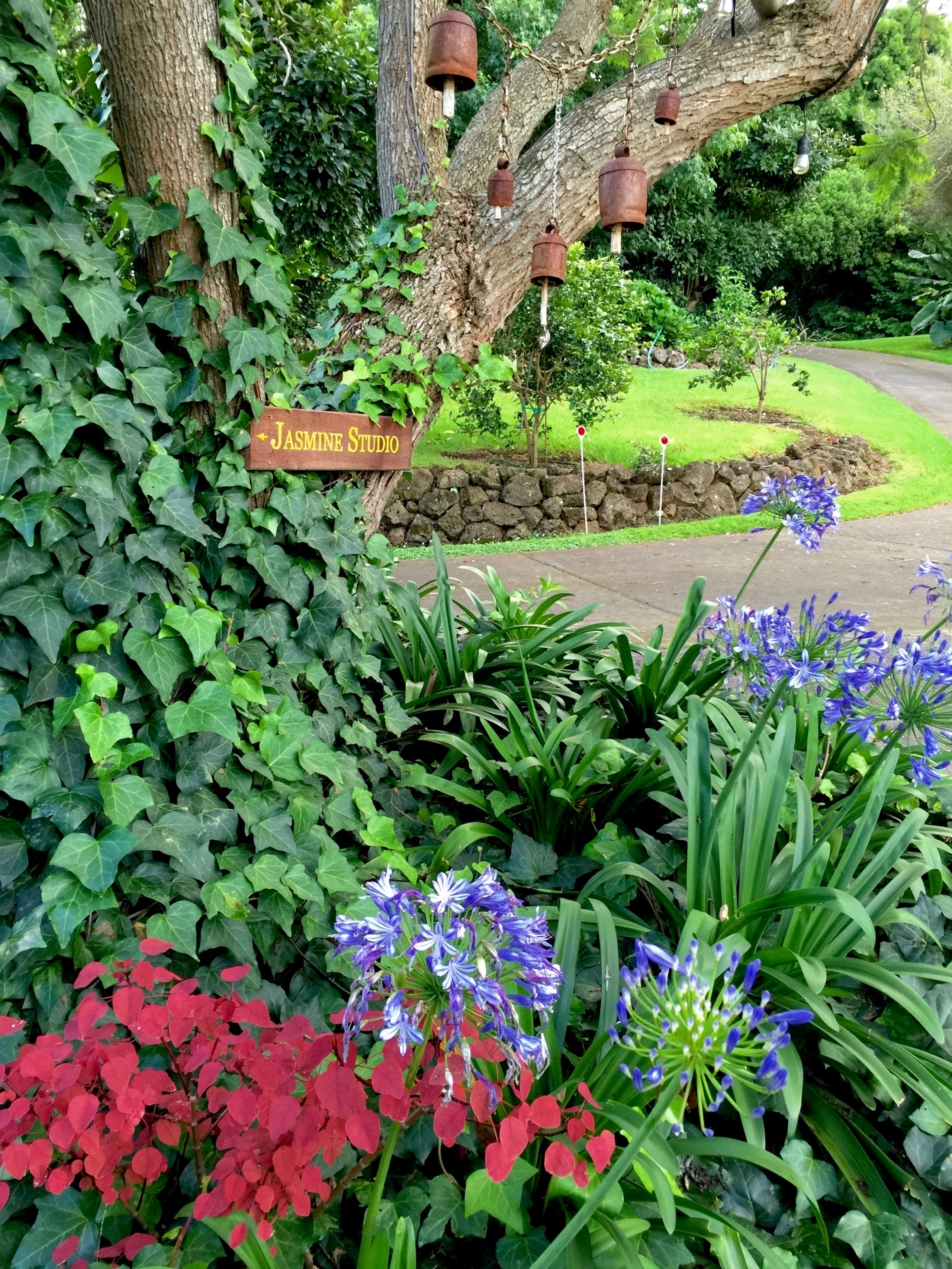 Charming Art Studio on a Scenic Mountain Slope - Photo 26