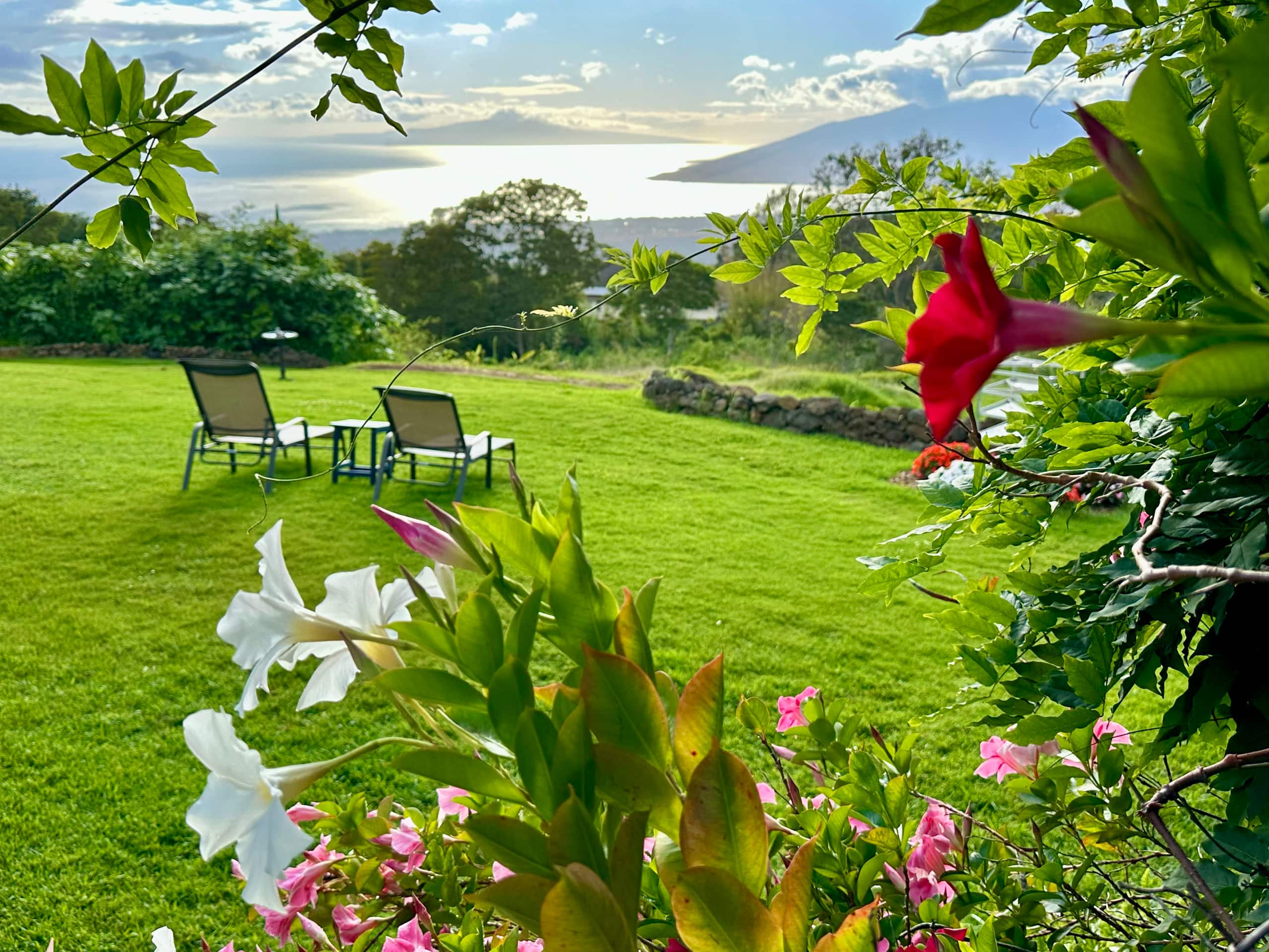 Charming Art Studio on a Scenic Mountain Slope - Photo 9